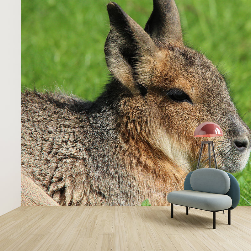 Photography Pampas Rabbit Mural Decorative Wallpaper Decor for Living Room