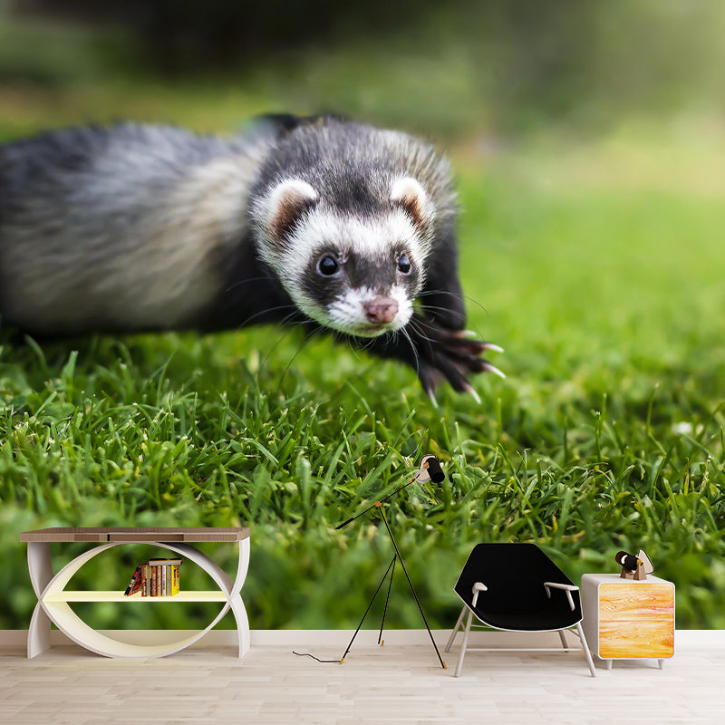 Cute Ferret Mural Wallpaper Wall Covering Mildew Resistant for Sleeping Room