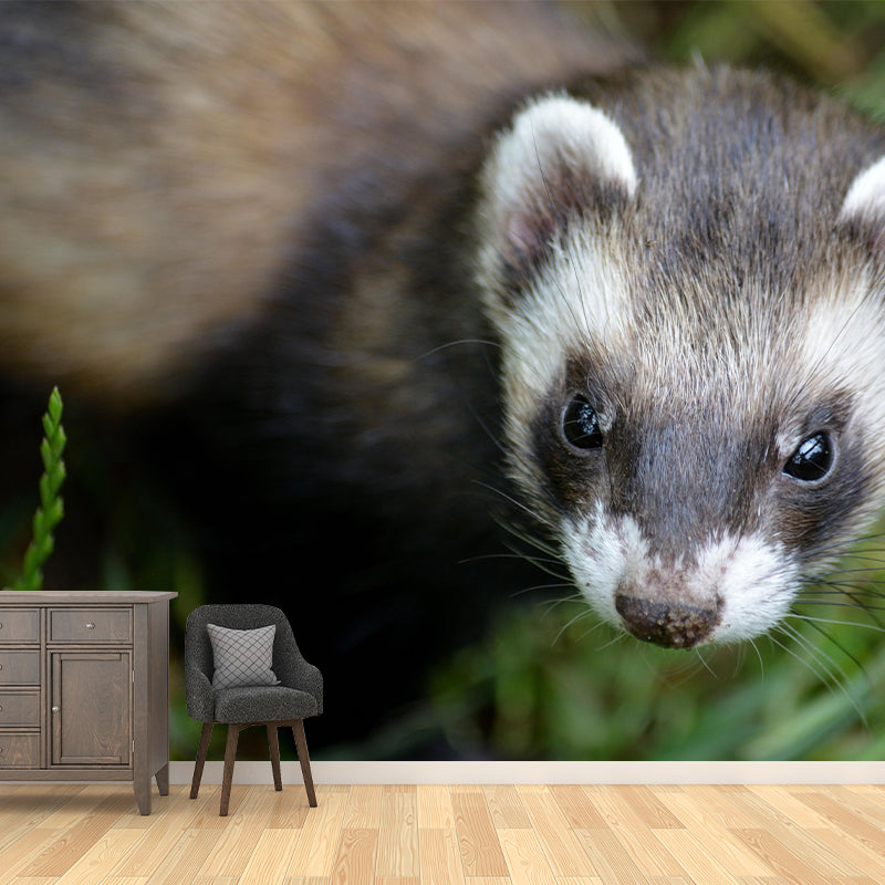 Cute Ferret Mural Wallpaper Wall Covering Mildew Resistant for Sleeping Room