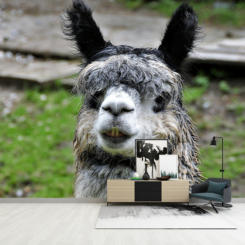 Cute Alpaca Mural Wallpaper Wall Covering Mildew Resistant for Sleeping Room