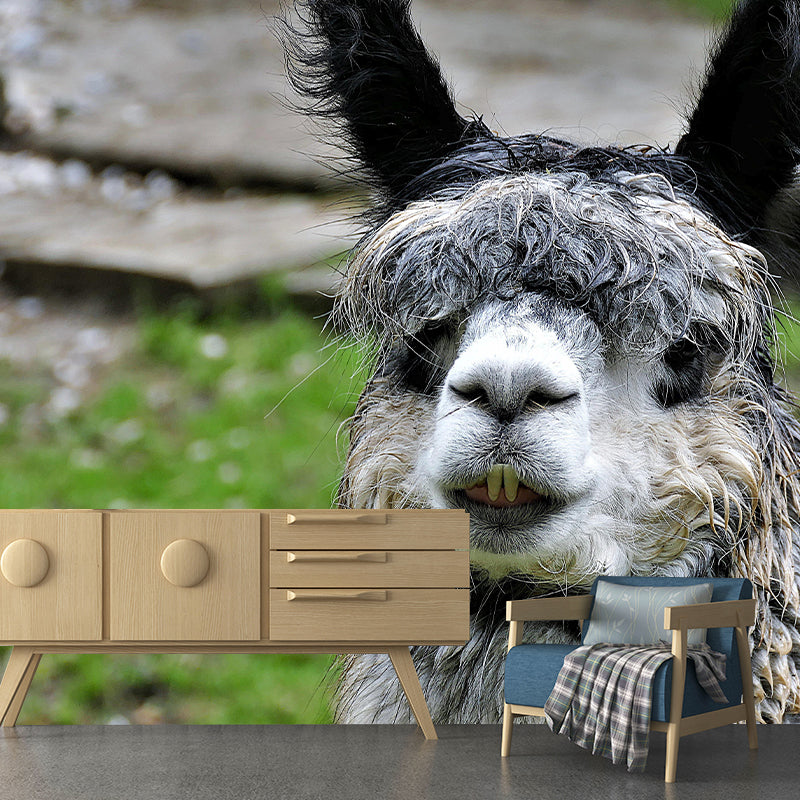 Cute Alpaca Mural Wallpaper Wall Covering Mildew Resistant for Sleeping Room