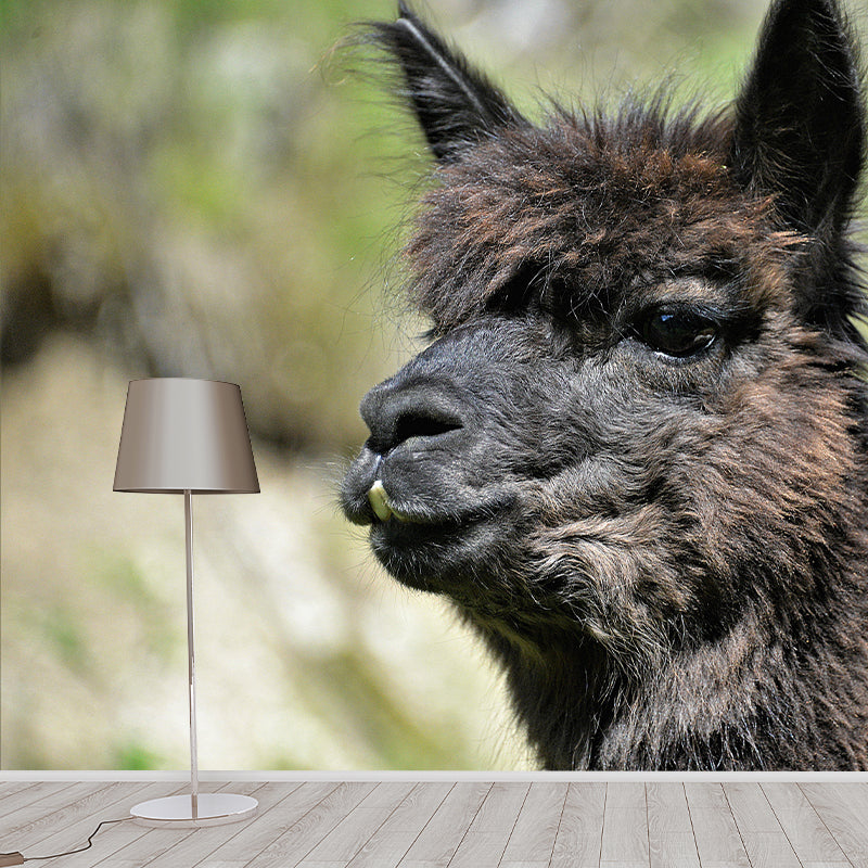 Cute Alpaca Mural Wallpaper Wall Covering Mildew Resistant for Sleeping Room