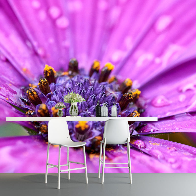 Photography Daisy Mural Wallpaper for Sitting Room Decor Multiple Sizes Available