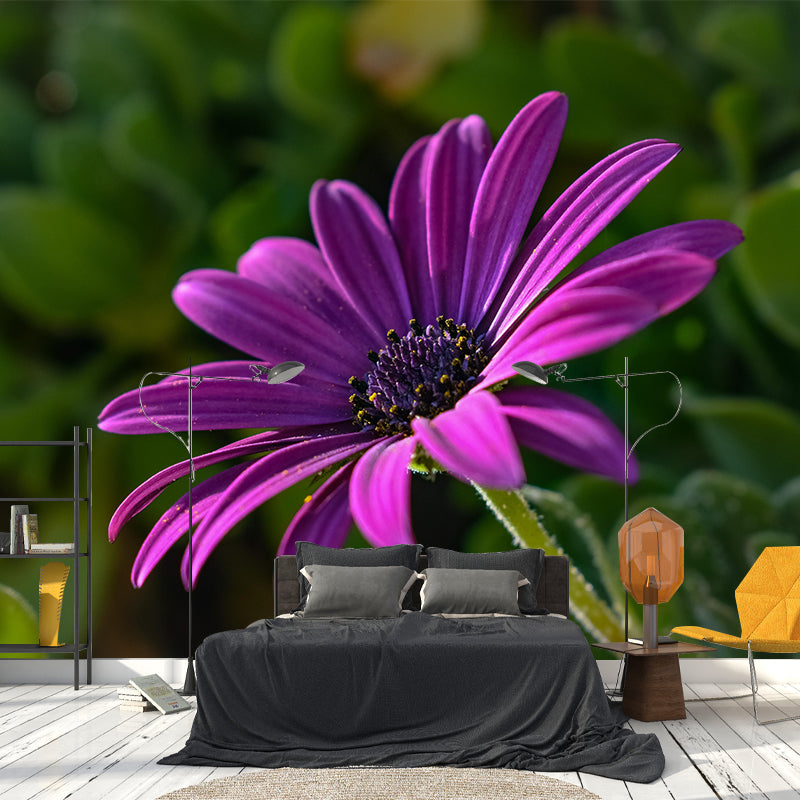 Photography Daisy Mural Wallpaper for Sitting Room Decor Multiple Sizes Available