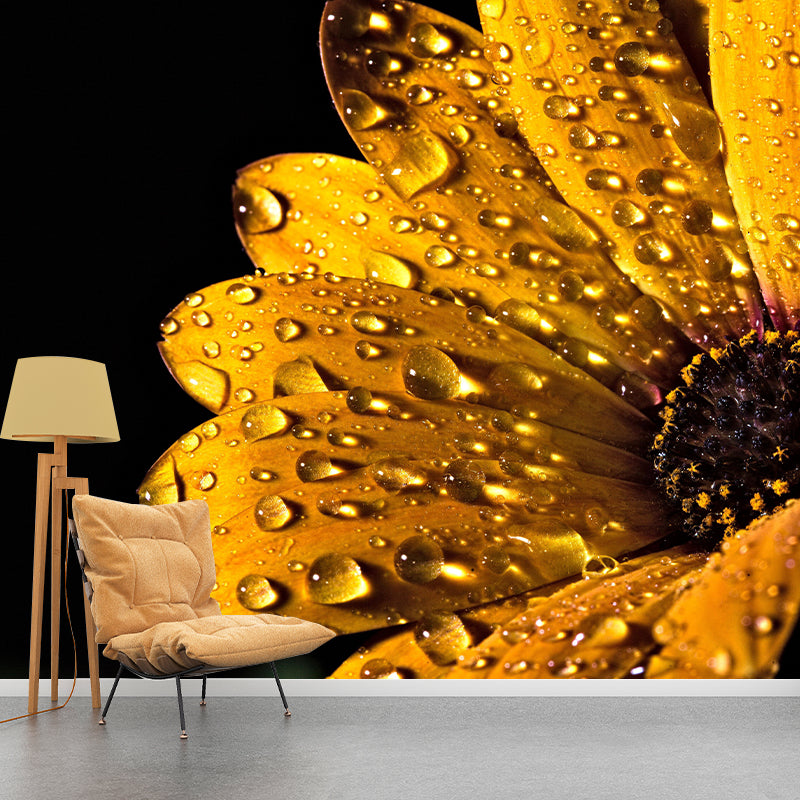 Photography Daisy Mural Wallpaper for Sitting Room Decor Multiple Sizes Available
