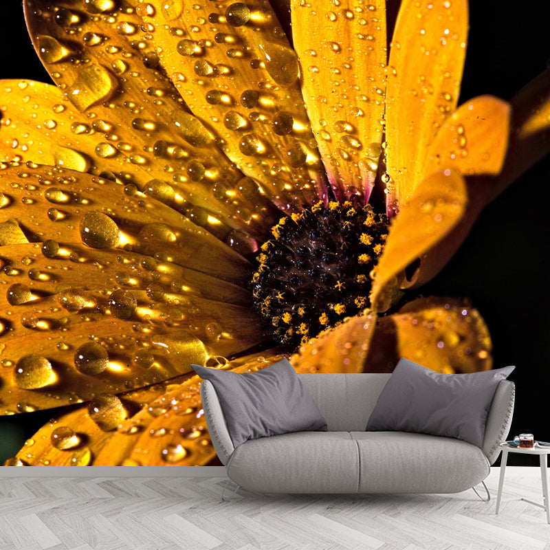 Photography Daisy Mural Wallpaper for Sitting Room Decor Multiple Sizes Available