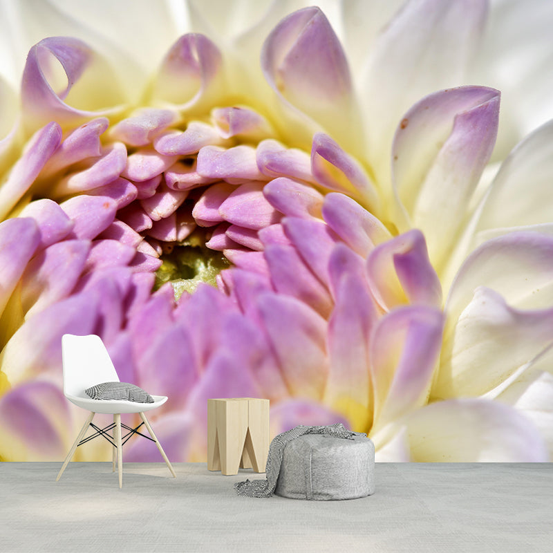 Dahlia Mural Wallpaper Wall Covering Mildew Resistant for Sleeping Room