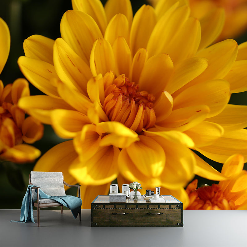 Gerbera Flower Mural Wallpaper Wall Covering Mildew Resistant for Sleeping Room