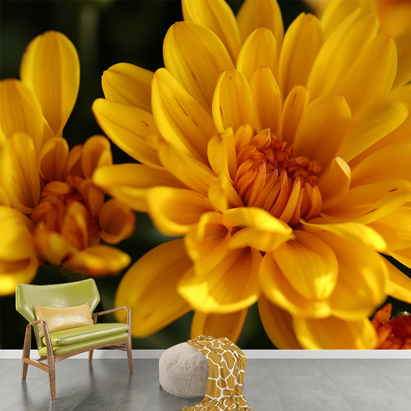 Gerbera Flower Mural Wallpaper Wall Covering Mildew Resistant for Sleeping Room