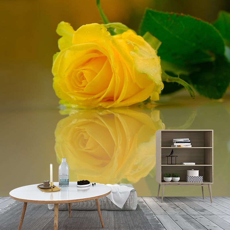 Photography Rose Mural Wallpaper for Sitting Room Decor Multiple Sizes Available