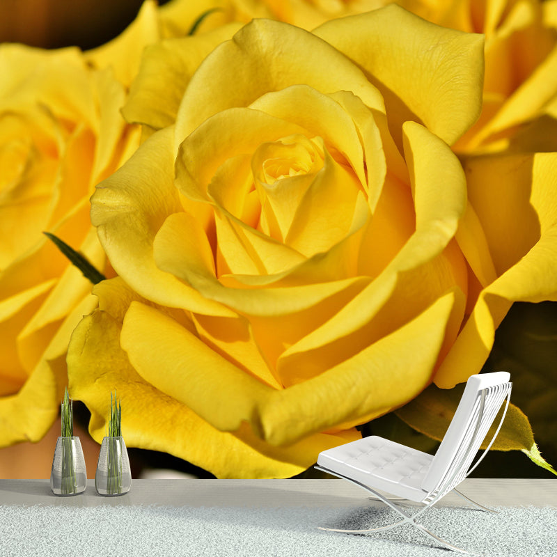 Roses Mural Wallpaper Wall Covering Mildew Resistant for Sleeping Room