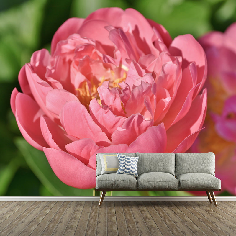 Peony Mural Wallpaper Wall Covering Mildew Resistant for Sleeping Room
