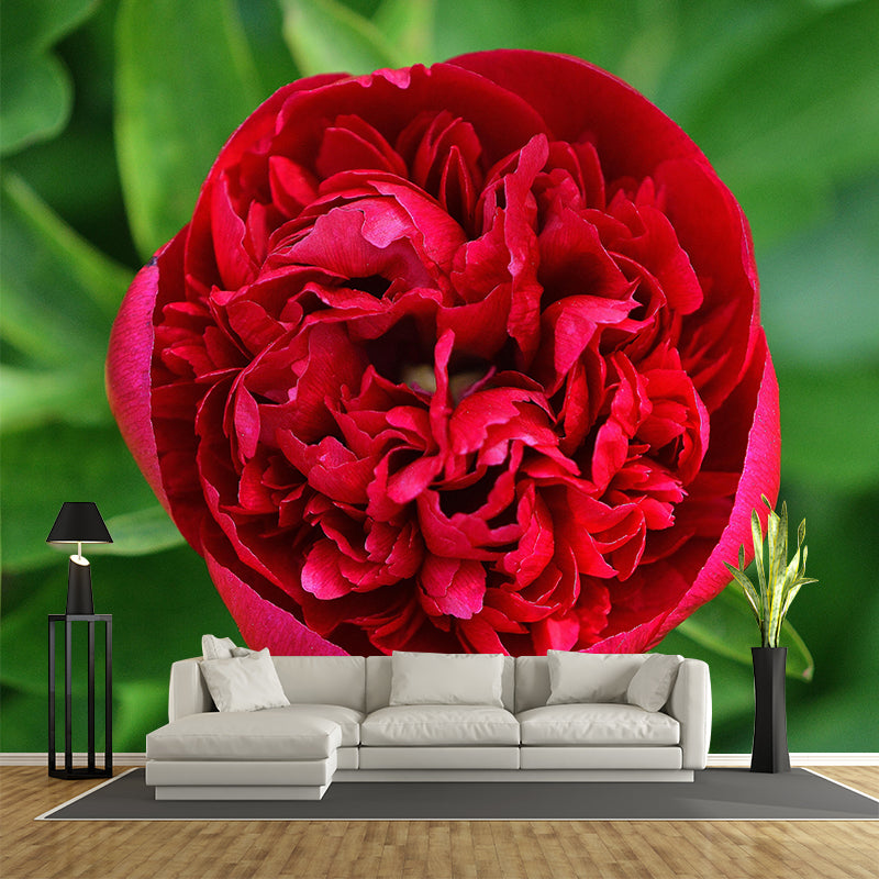 Peony Mural Wallpaper Wall Covering Mildew Resistant for Sleeping Room