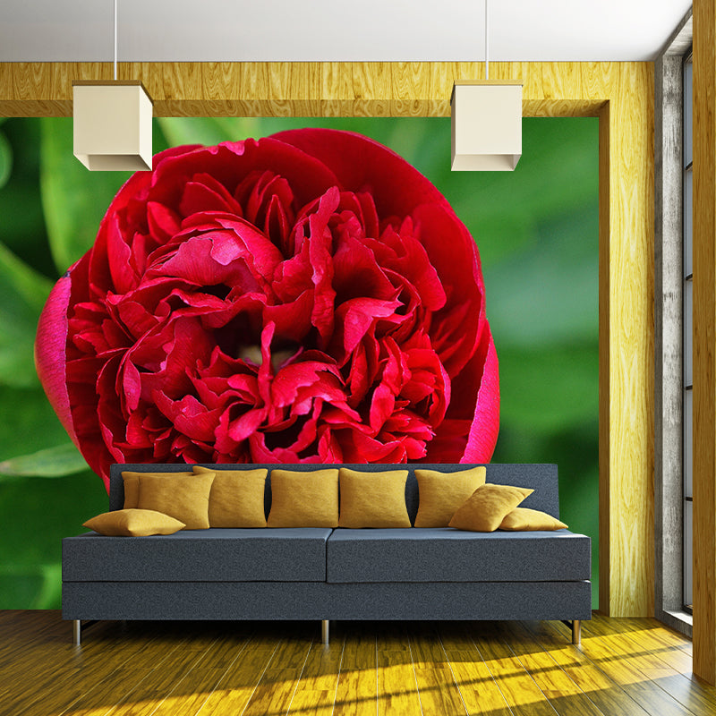 Peony Mural Wallpaper Wall Covering Mildew Resistant for Sleeping Room