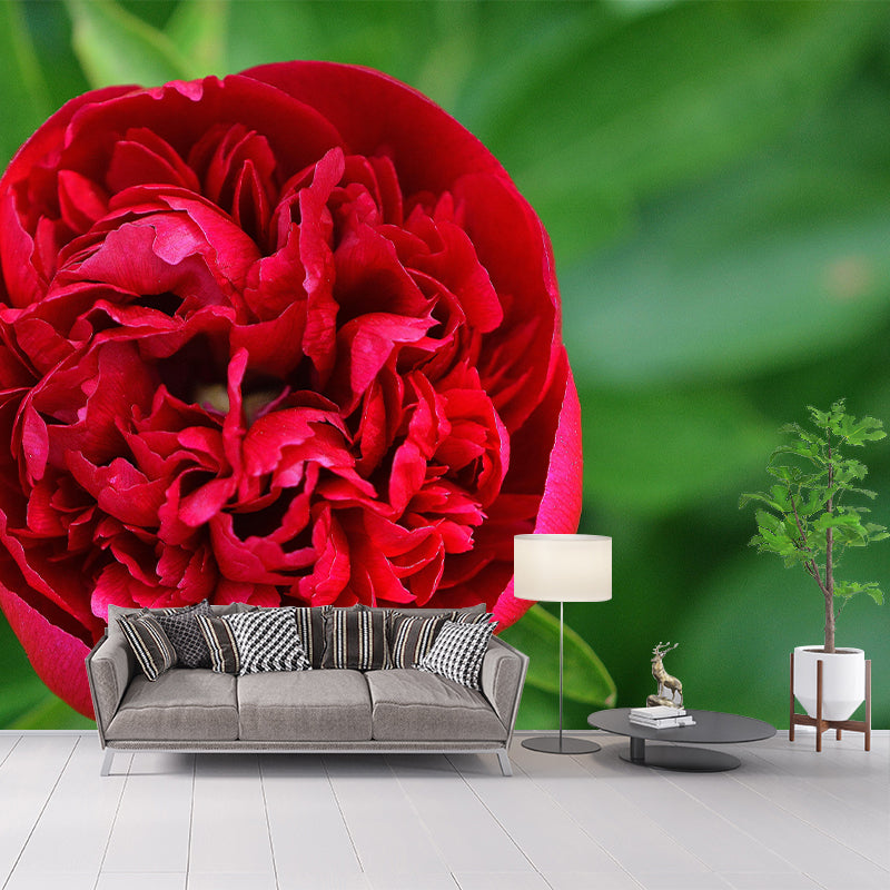 Peony Mural Wallpaper Wall Covering Mildew Resistant for Sleeping Room