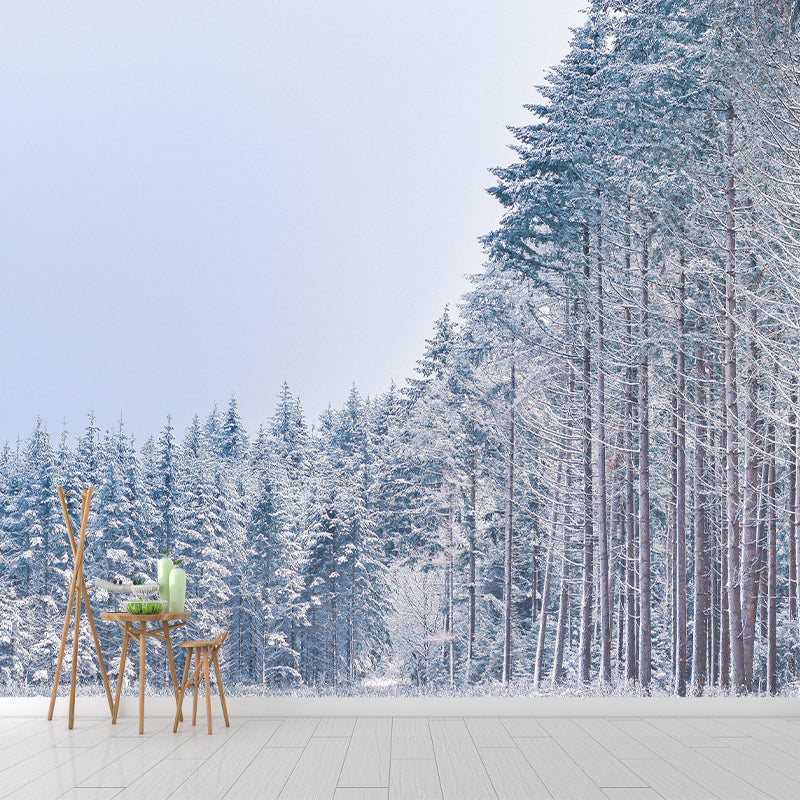 Photography Beautiful Forest View Mural Decorative Wallpaper Decor for Living Room