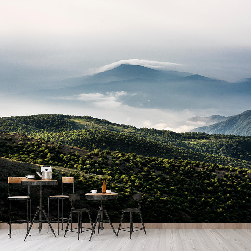 Photography Beautiful Forest View Mural Decorative Wallpaper Decor for Living Room