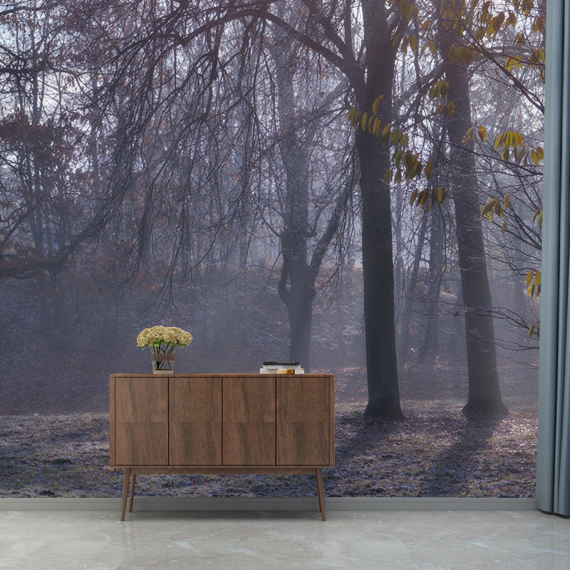 Photography Forest Mural Wallpaper for Sitting Room Decor Multiple Sizes Available