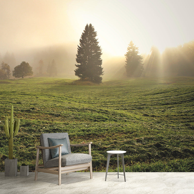 Foggy Forest Mural Wallpaper Wall Covering Mildew Resistant for Sleeping Room