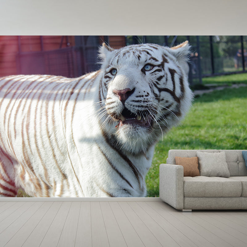 Tiger Jungle Animal Mural Decal Modern Mildew Resistant for Sitting Room