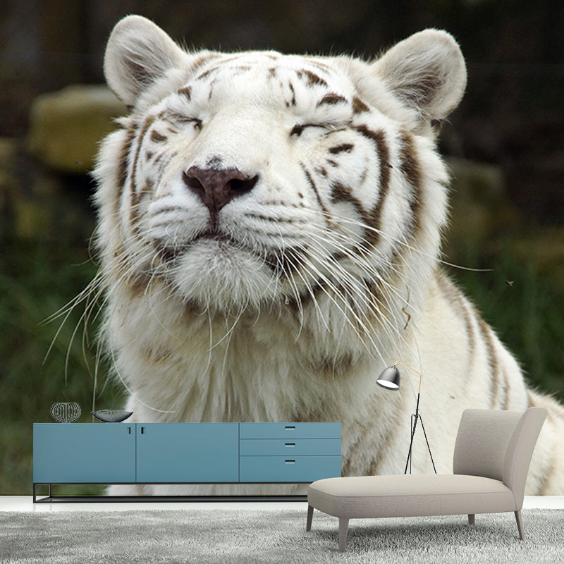 Tiger Jungle Animal Mural Decal Modern Mildew Resistant for Sitting Room