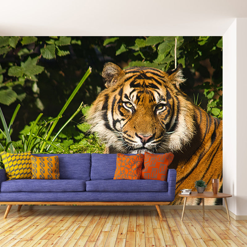 Tiger Jungle Animal Mural Decal Modern Mildew Resistant for Sitting Room