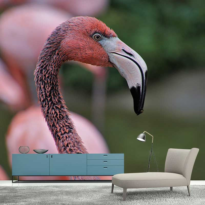 Full Size Flamingo Mural Wallpaper Stain Resistant for Home Wall Decor