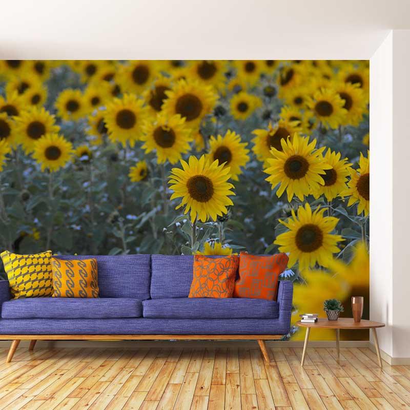 Sunflower Wall Decals Removable Yellow Flower Wall Covering for Sitting Room