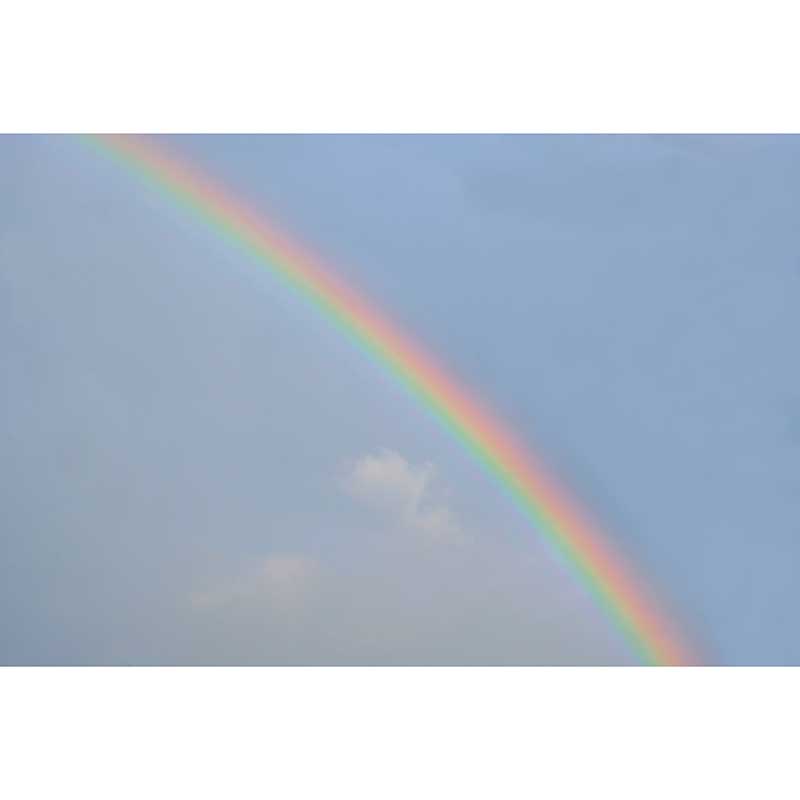 Rainbow Sky Murals Wallpaper for Bedroom, Waterproofing, Custom Size Available