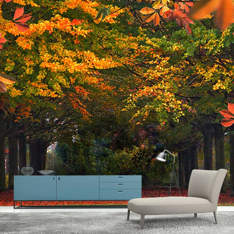 Fall Forest Mural Modern Murals Wallpaper for Living Room Moisture Resistant, Custom Size Available