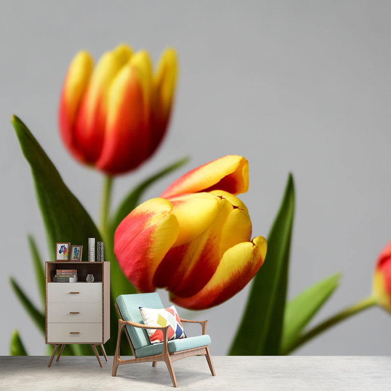 Colorful Tulip Flowers Mural Wallpaper Moisture Resistant for Sitting Room