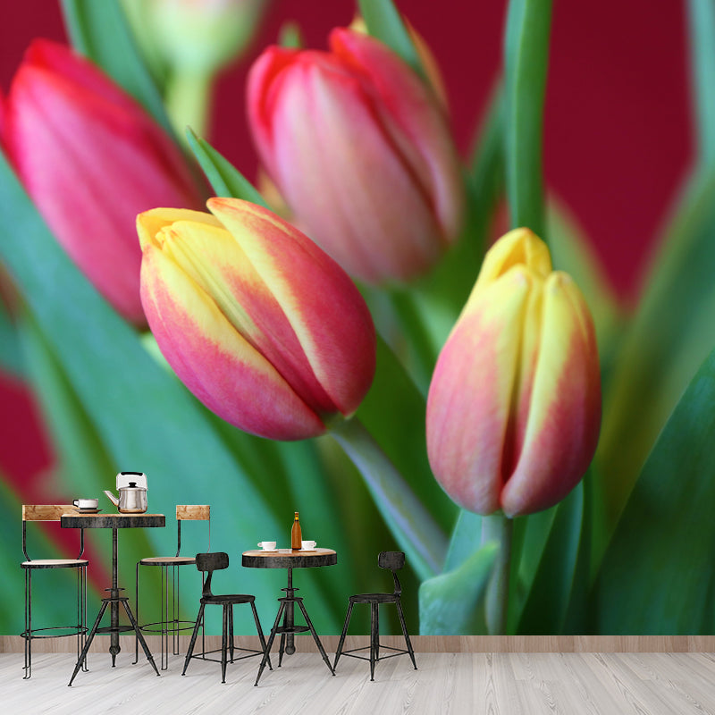 Colorful Tulip Flowers Mural Wallpaper Moisture Resistant for Sitting Room