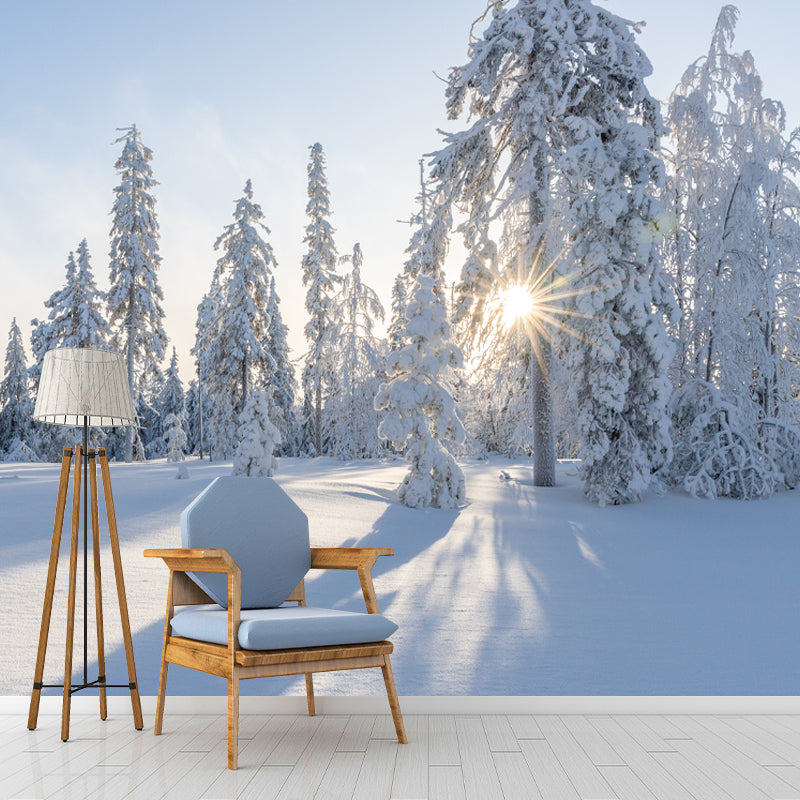Winter Forest Mural Wallpaper Modern Decorative Washable, Custom Size Available