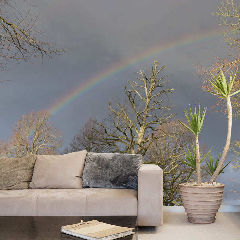 Rainbow Sky Mural Wallpaper for Wall Decor Contemporary Girls Room Water Resistant