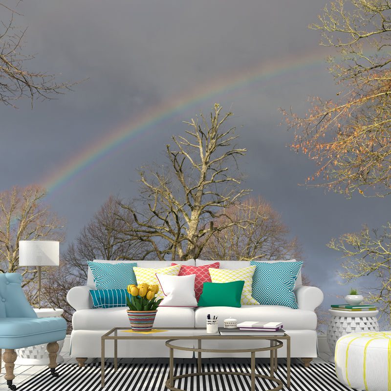 Rainbow Sky Mural Wallpaper for Wall Decor Contemporary Girls Room Water Resistant