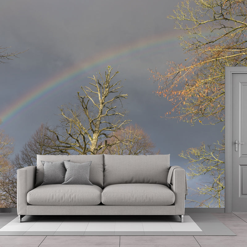 Rainbow Sky Mural Wallpaper for Wall Decor Contemporary Girls Room Water Resistant