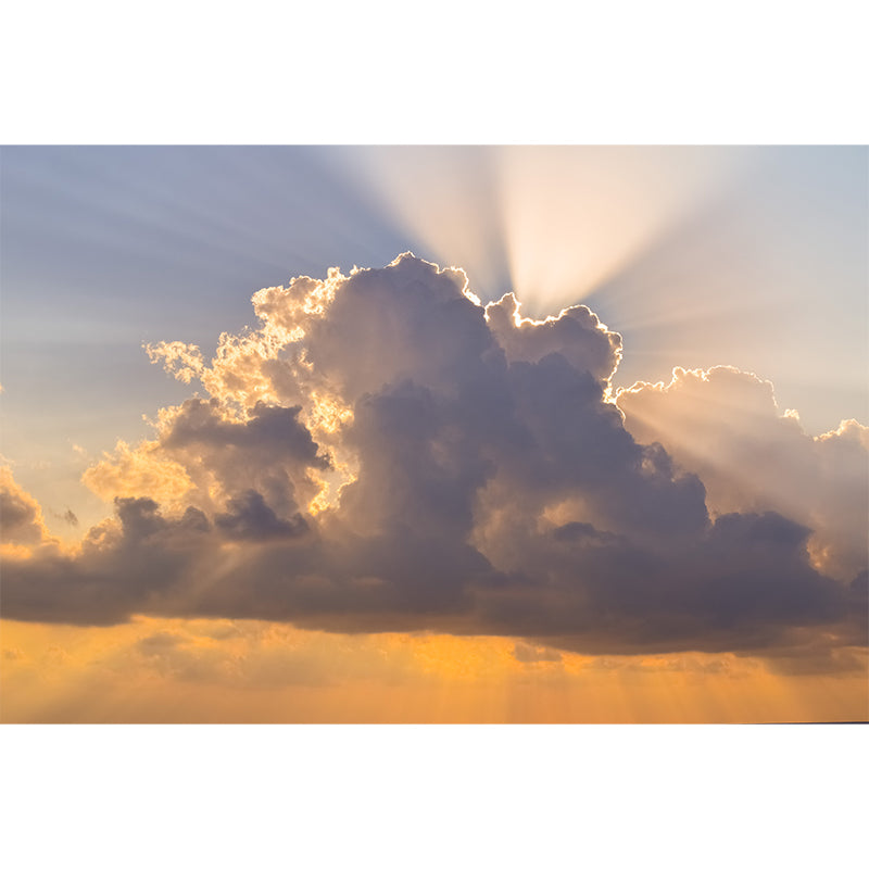 Cloudy Sky Mural Wallpaper for Wall Decor Contemporary Gust Room Wall Art