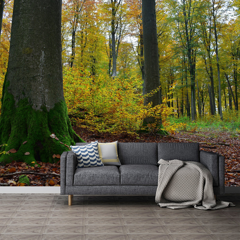 Forest Photo Mural Wallpaper for Living Room Decor, Custom Size Available