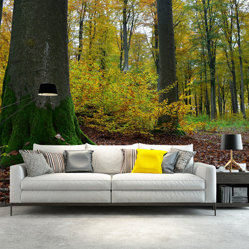 Forest Photo Mural Wallpaper for Living Room Decor, Custom Size Available