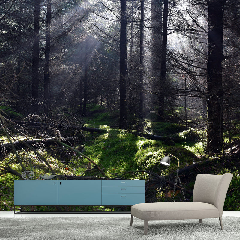 Forest Photo Mural Wallpaper for Living Room Decor, Custom Size Available