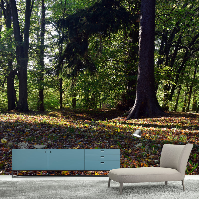 Forest Landscape Wall Murals Moisture Resistant Wall Covering for Gust Room