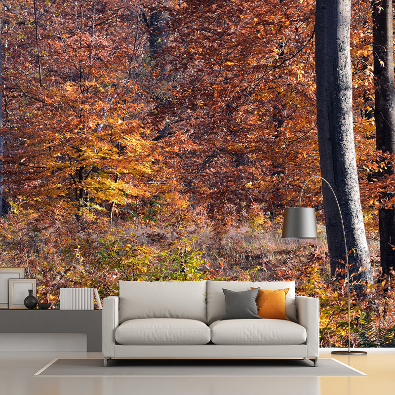 Forest Landscape Wall Murals Moisture Resistant Wall Covering for Gust Room