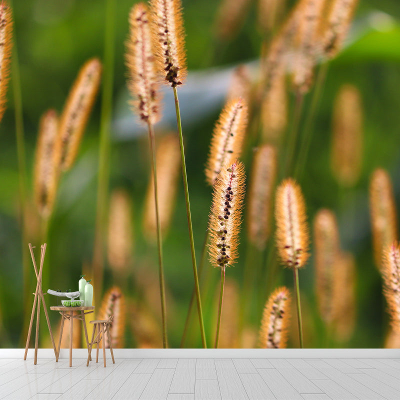 Setaria Plant Moisture Resistant Wall Mural Living Room Wall Decor, Custom Size Available