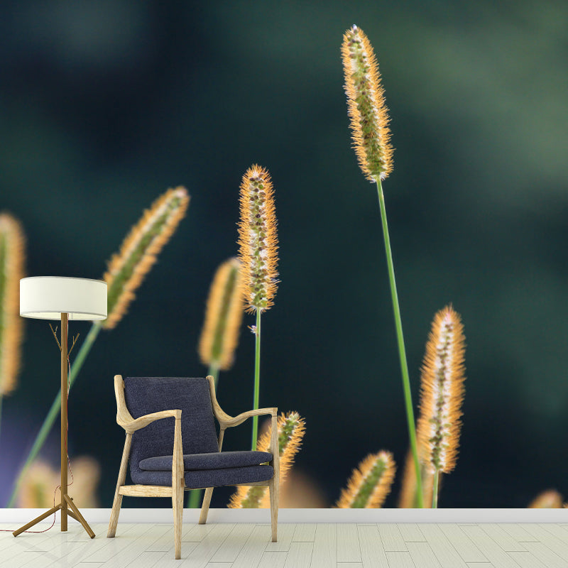 Setaria Plant Moisture Resistant Wall Mural Living Room Wall Decor, Custom Size Available