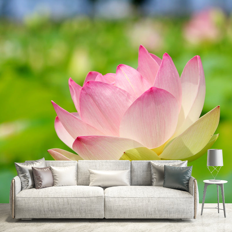 Lotus Wall Mural Stain-Proofing Home Decoration for Bedroom, Custom Size Available