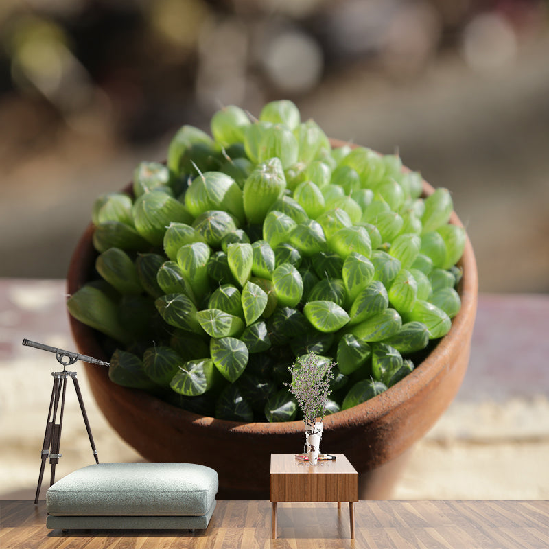 Green Plants Vinyl Wall Art Decor for Office Water Resistant, Custom Size Available