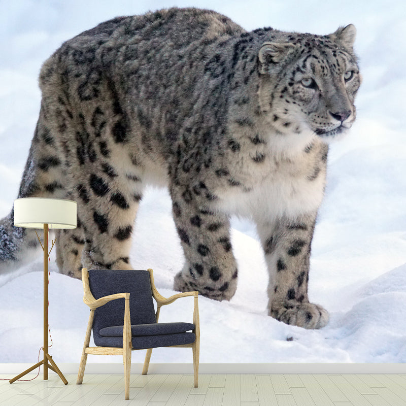 Leopard Animal Waterproof Wall Murals for Home Decoration, Custom Size Available