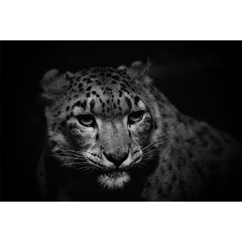 Leopard Animal Waterproof Wall Murals for Home Decoration, Custom Size Available