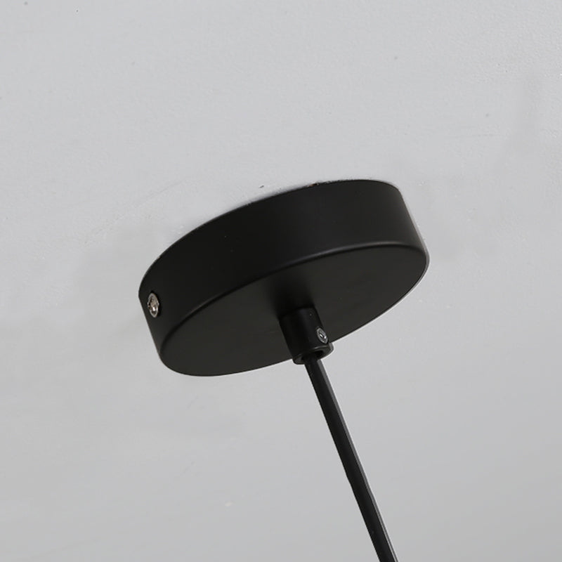 Indoor Globe White Glass Hanging Light, Simple  Hanging Lamp with Flower Top