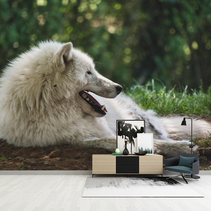 Contemporary Arctic Wolf Wall Mural Mildew Resistant Covering for Dining Room